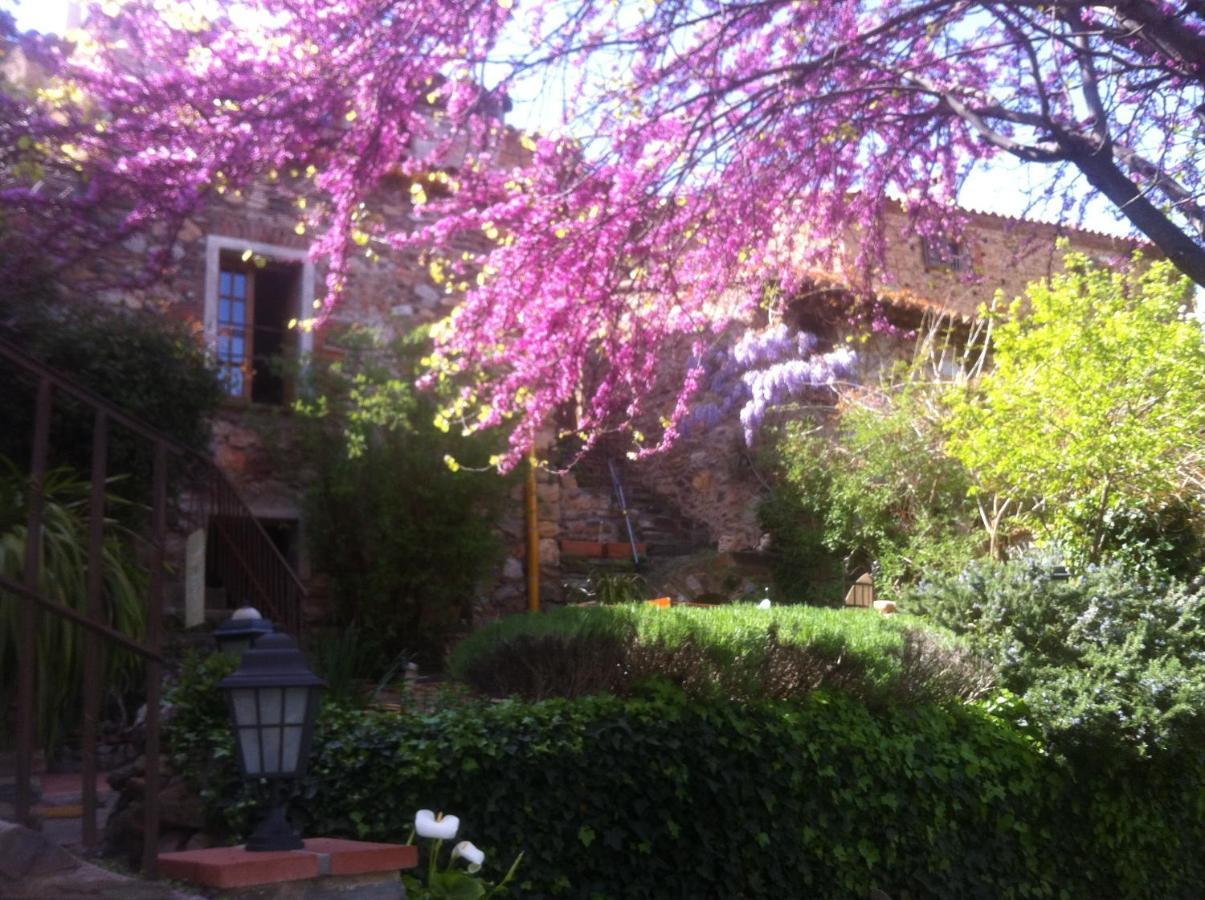 Bed and Breakfast La Figuera Camelas Экстерьер фото
