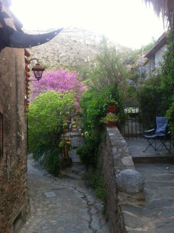 Bed and Breakfast La Figuera Camelas Экстерьер фото