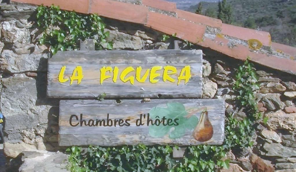Bed and Breakfast La Figuera Camelas Экстерьер фото